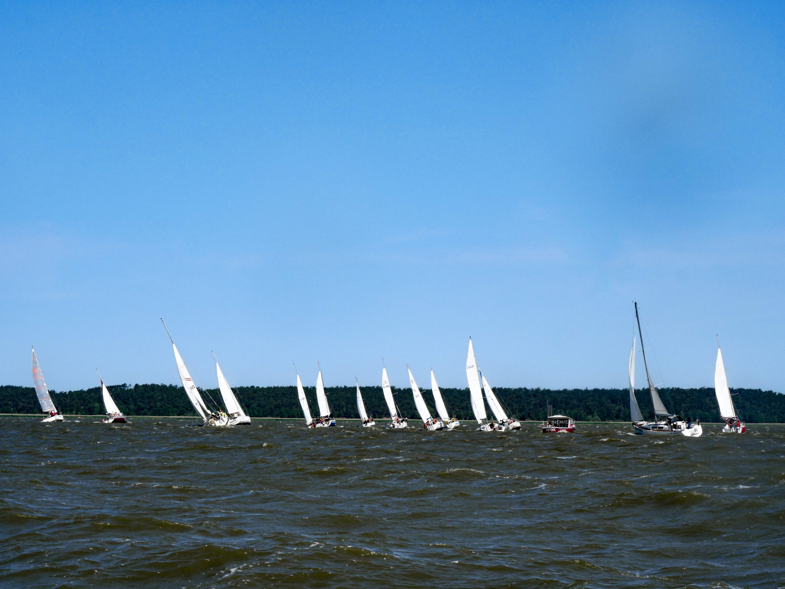 The Regatta for the Marshal’s Cup as every year on the Vistula Lagoon